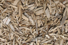biomass boilers Trearddur